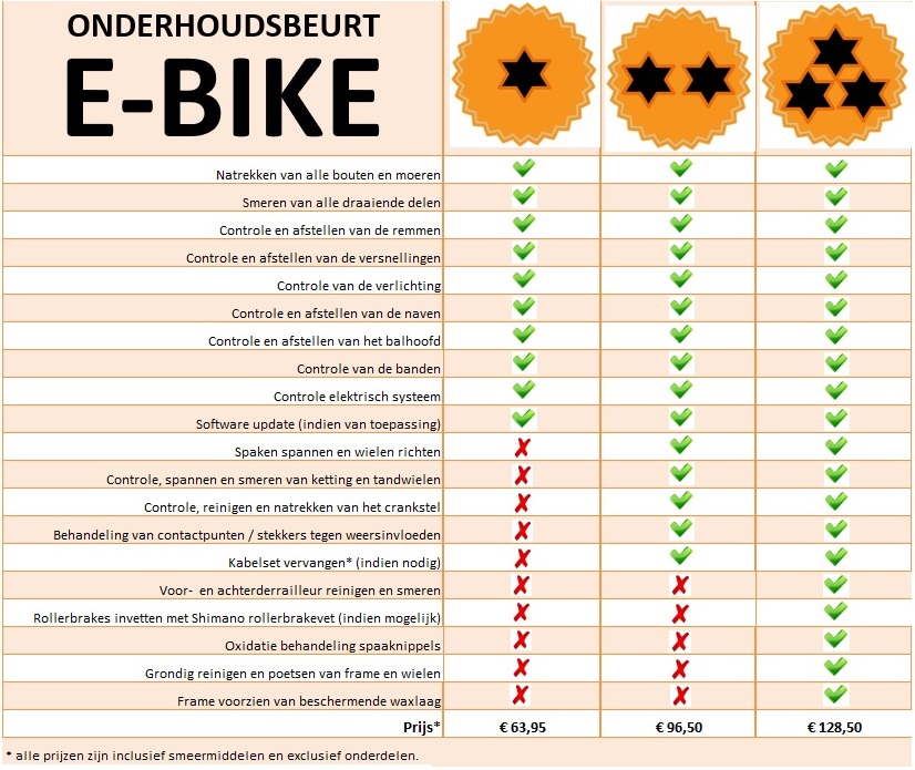 1546690252_onderhoudsbeurt ebike